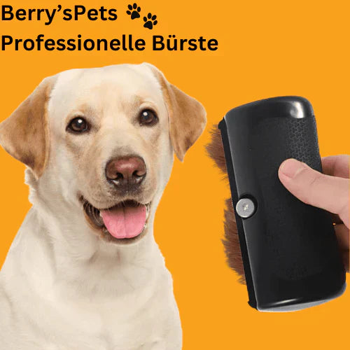 đ„HusdjurđProfessionell borste