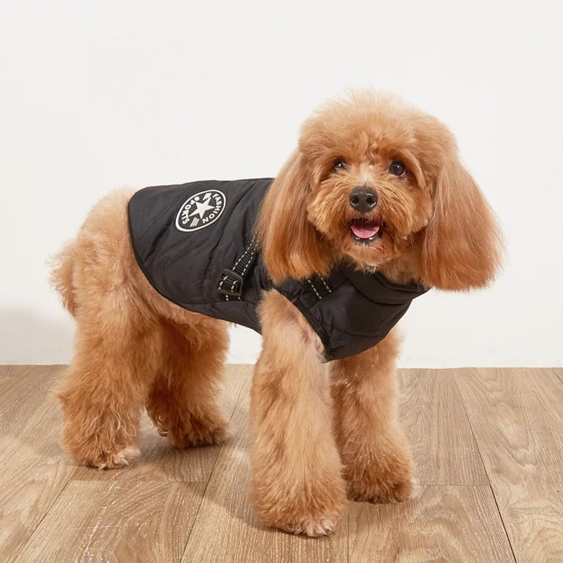 🐾Vattentät vinterjacka för hund med inbyggd sele