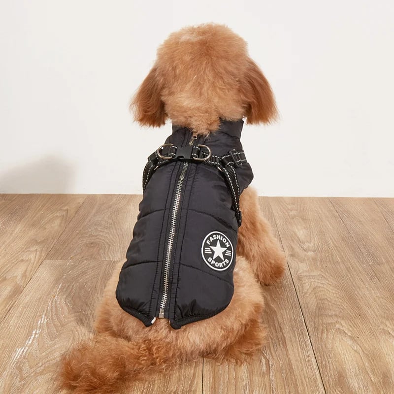 🐾Vattentät vinterjacka för hund med inbyggd sele