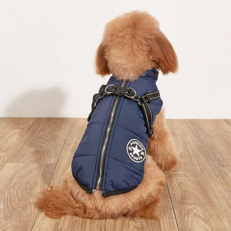 🐾Vattentät vinterjacka för hund med inbyggd sele