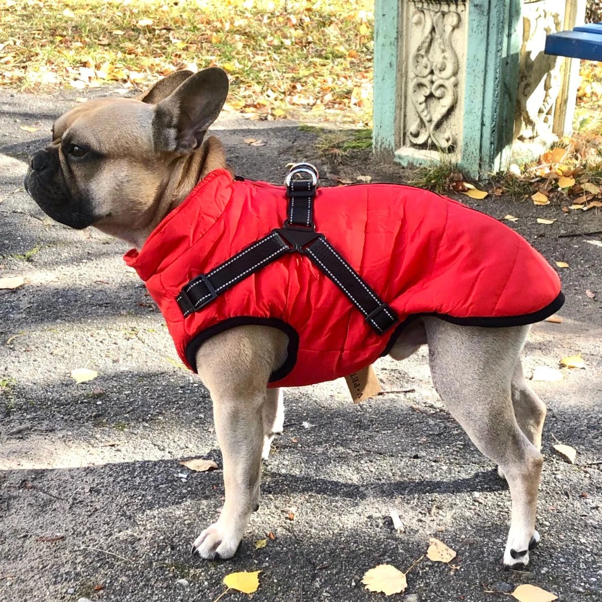 🐾Vattentät vinterjacka för hund med inbyggd sele