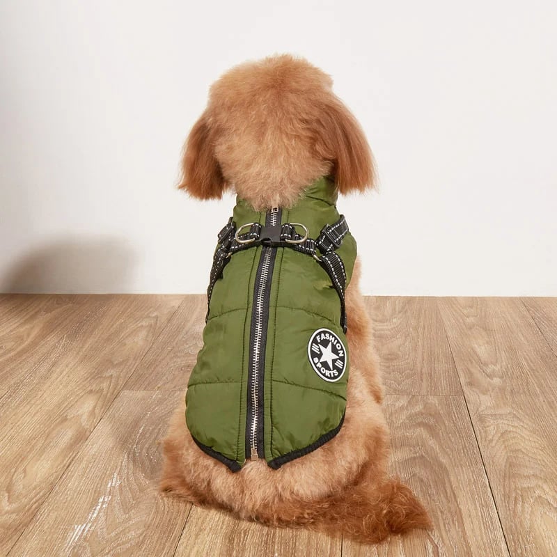 🐾Vattentät vinterjacka för hund med inbyggd sele
