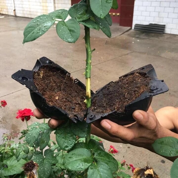đ±LĂ„da för odling av vĂ€xtrot