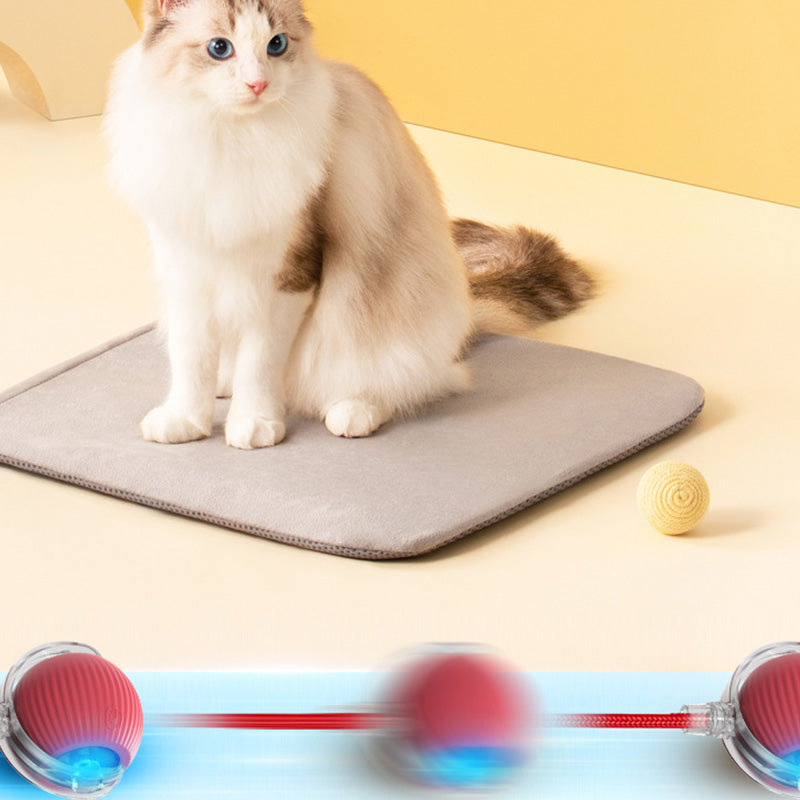 đ±đ¶Smart Automatisk Rullande Husdjursbollđ„