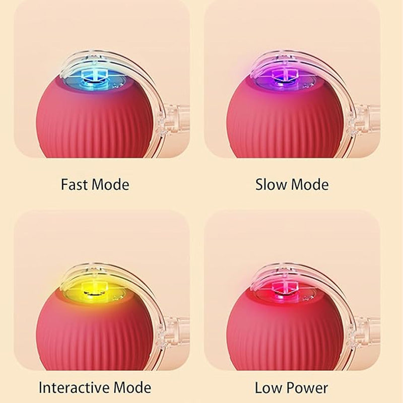 đ±đ¶Smart Automatisk Rullande Husdjursbollđ„