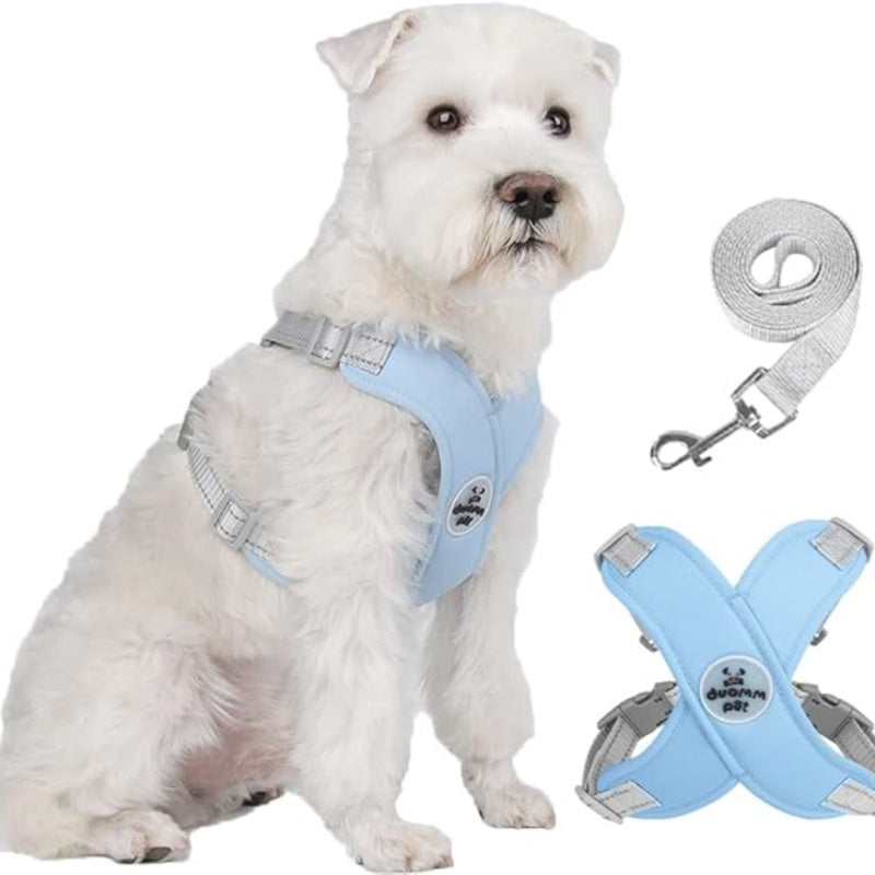 X-ram inget dragande hundsele med koppelset