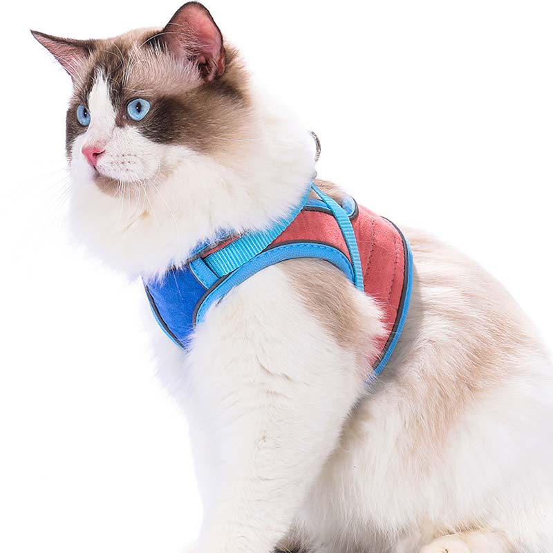 🐱Reflekterande sele och koppel för katter som förhindrar att de rymmer✨