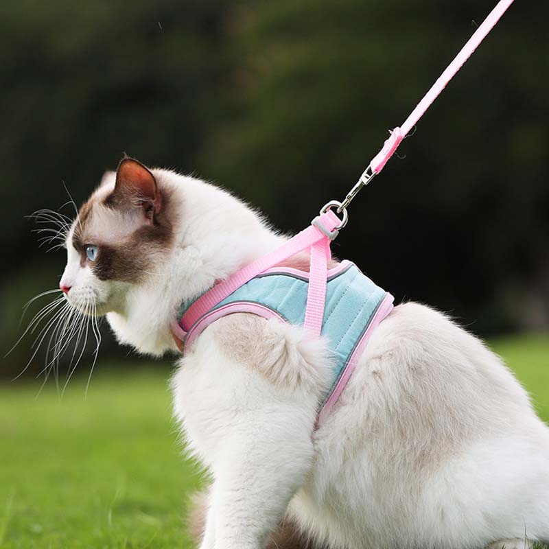 🐱Reflekterande sele och koppel för katter som förhindrar att de rymmer✨