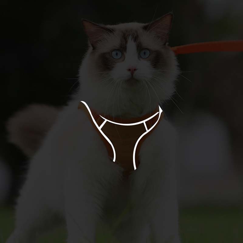 🐱Reflekterande sele och koppel för katter som förhindrar att de rymmer✨