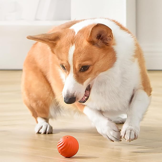 đAutomatisk smart retande hundboll som inte kan bitasđ¶