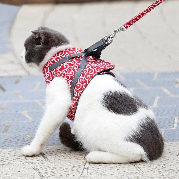(đ„HOT FĂRSĂLJNING NU 49% RABATT) -Katt Hund VĂ€st Sele och koppel Anti-break Away Bröstrem Katt KlĂ€der