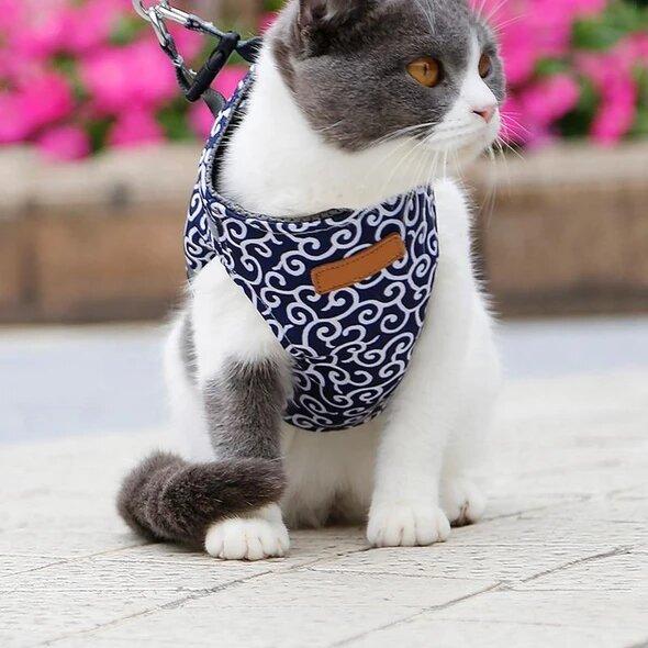 (đ„HOT FĂRSĂLJNING NU 49% RABATT) -Katt Hund VĂ€st Sele och koppel Anti-break Away Bröstrem Katt KlĂ€der