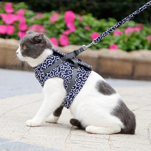 (đ„HOT FĂRSĂLJNING NU 49% RABATT) -Katt Hund VĂ€st Sele och koppel Anti-break Away Bröstrem Katt KlĂ€der