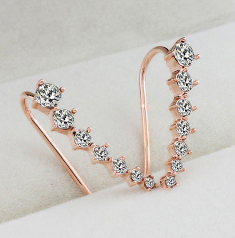 🔥Seven Star Diamond Stiftörhängen