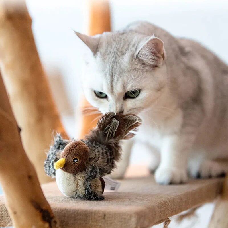 🥰Gåvor till dina katter😺Simulerad kvittrande fågel