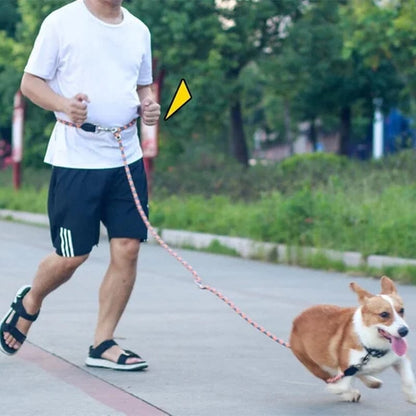 🔥Handsfree hundkoppel