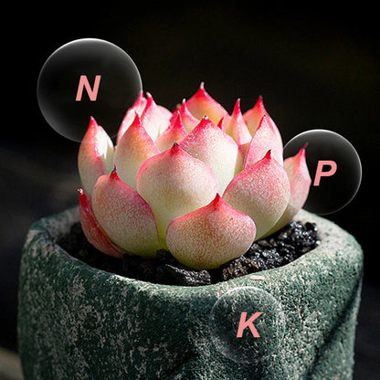 🍃Köp 5 och få 5 gratis🌵🌸Allsidig gödselmedel i tablettform med långsam frisättning för växter