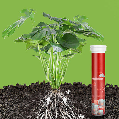 🍃Köp 5 och få 5 gratis🌵🌸Allsidig gödselmedel i tablettform med långsam frisättning för växter