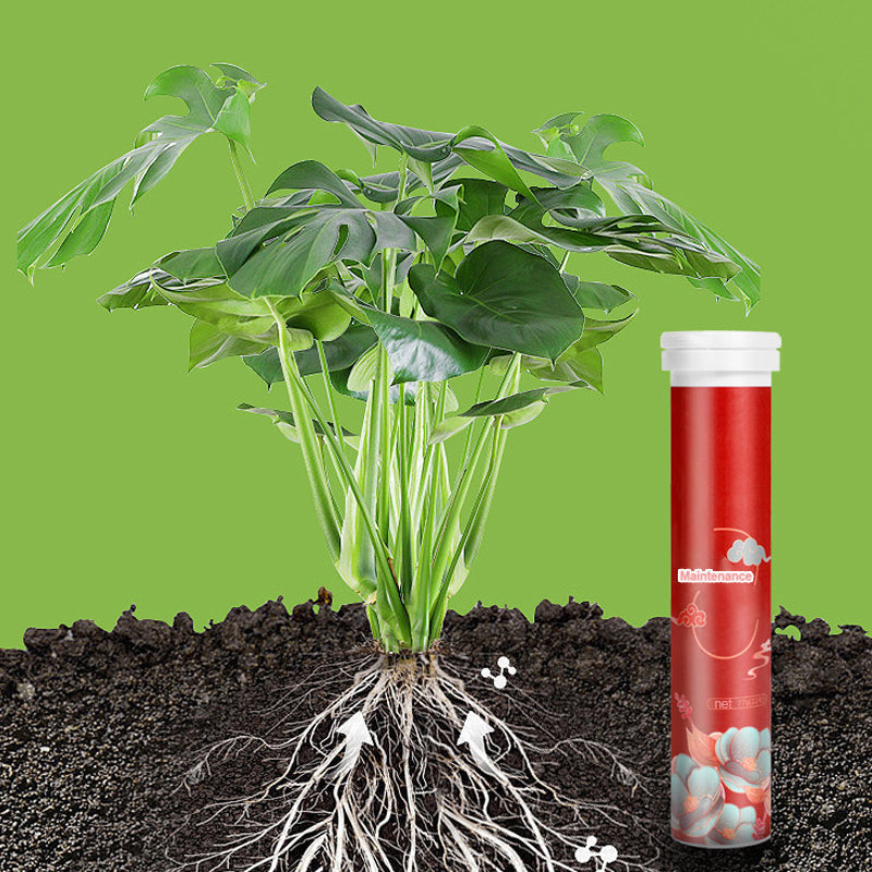🍃Köp 5 och få 5 gratis🌵🌸Allsidig gödselmedel i tablettform med långsam frisättning för växter