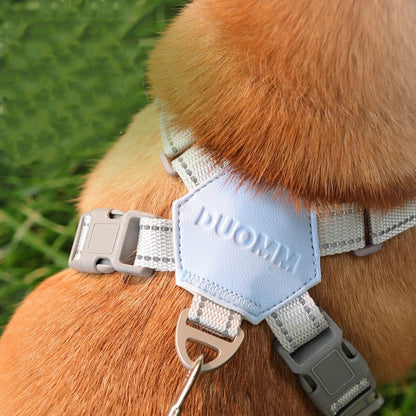 X-ram inget dragande hundsele med koppelset