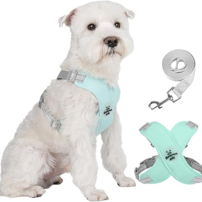 X-ram inget dragande hundsele med koppelset