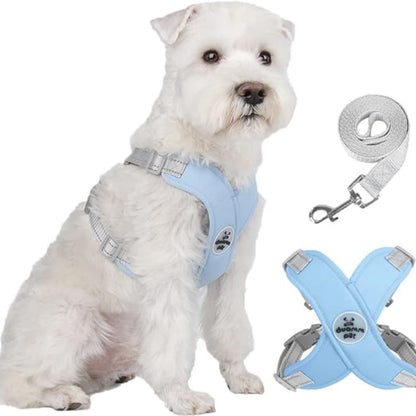 X-ram inget dragande hundsele med koppelset