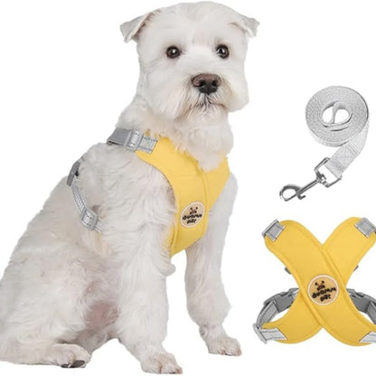 X-ram inget dragande hundsele med koppelset
