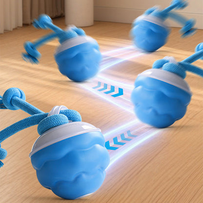 🔥 Interaktiv elektronisk boll för att lugna husdjur
