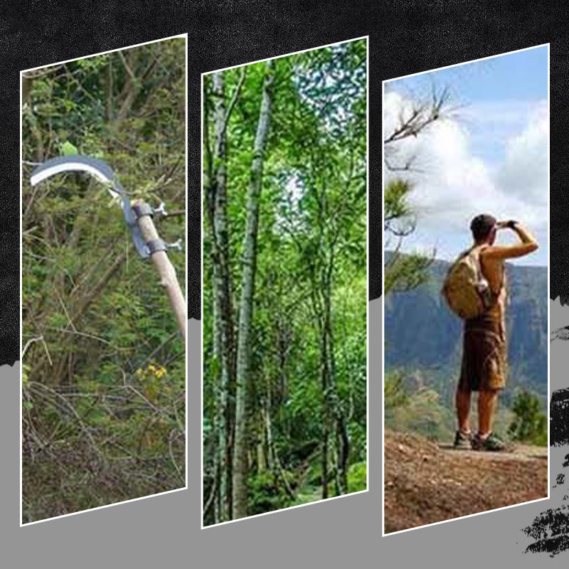 🎁50 % rabatt under en begränsad tid✨Bärbar multifunktionell ogräsrensningssickel🔪