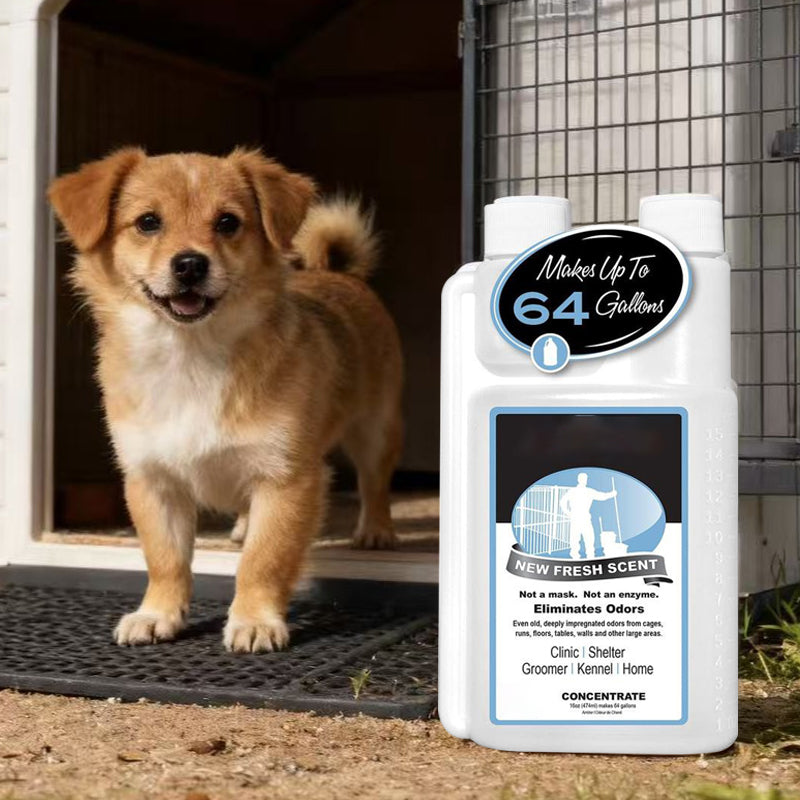 🐶 60 % RABATT! 🏠 Koncentrat för att eliminera husdjurslukt – Neutraliserar lukter, ofarligt för husdjur och uppfriskande 🐱