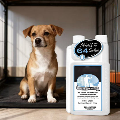 🐶 60 % RABATT! 🏠 Koncentrat för att eliminera husdjurslukt – Neutraliserar lukter, ofarligt för husdjur och uppfriskande 🐱